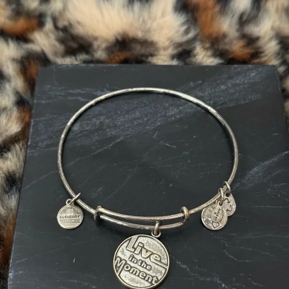 Alex & Ani Charm Bracelets Lot of 8 - 2012 2013 2015 - Picture 8 of 16